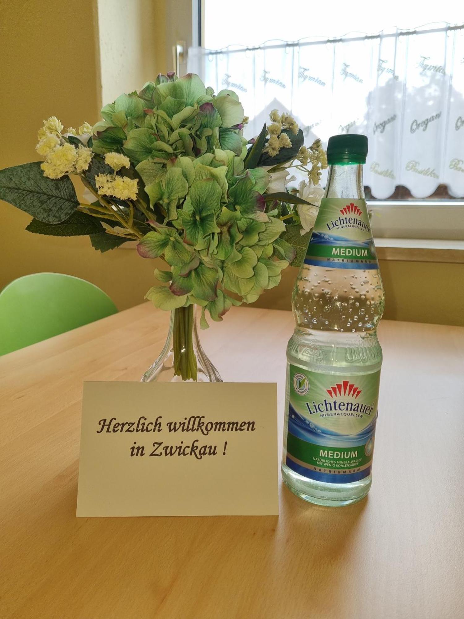 Ferienwohnung Im Zentrum Zwickaus Extérieur photo